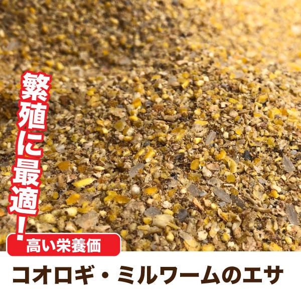 1kg にわとり えさ 鶏 飼料 とりひかり 鳥光 成鶏飼育用配合飼料 にわとり えさ 鳥光 鳥の餌 養鶏 鶏 エサ メール便送料無料 Dbp Torihikari 1kgf エスポワールyahoo 店 通販 Yahoo ショッピング