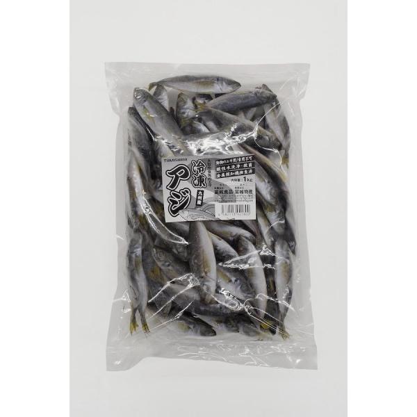 daishin-bussan3_4582113921817