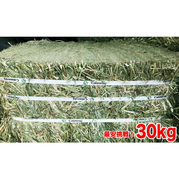 牧草 チモシー ダブルプレス 約30kg 1番刈り(アメリカ産)  令和7年産 圧縮 スーパープレミアムチモシー 小動物 ヤギ 羊 エサ 敷材 送料無料【HTF】