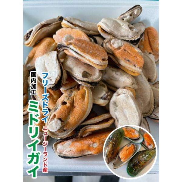 ペット用　フリーズドライ　ミドリイガイ【20g】犬　健康維持【国内加工】モエギイガイ　ニュージーランド産　緑イ貝　メール便送料無料【DBP】