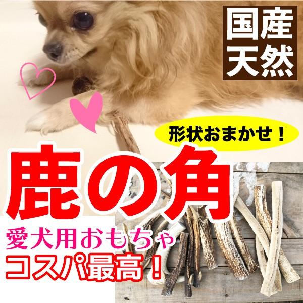 形状おまかせ 国産 天然 鹿の角 犬 丹波鹿 １本 サイズ L 約cm 25cm 犬 鹿角 シカ Dbp Db Pet Shika7 大伸物産yahoo ショップ 通販 Yahoo ショッピング
