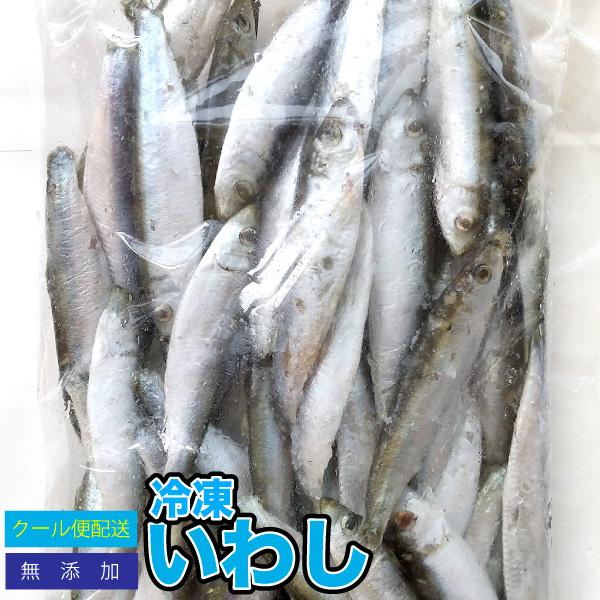 熱帯魚 冷凍餌の人気商品 通販 価格比較 価格 Com