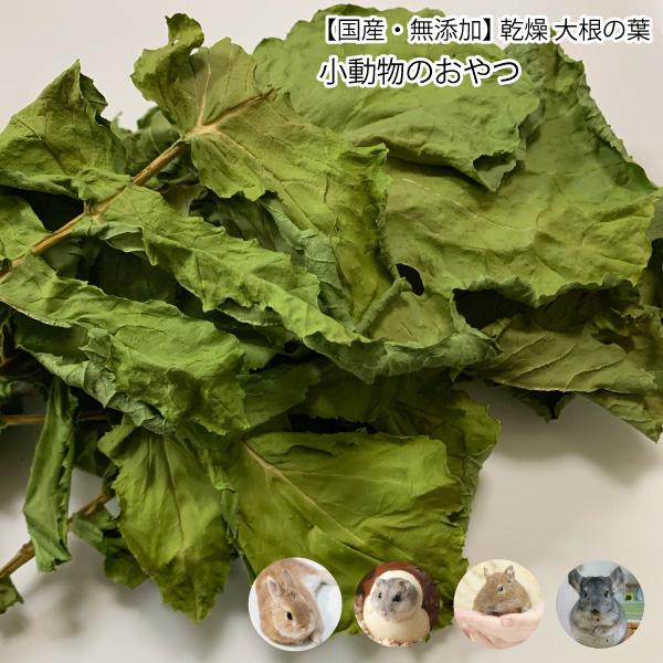 小動物のおやつ 国産 無添加 乾燥 大根の葉 5g 乾燥野菜 だいこん 葉 無着色 ドライベジタブル 小動物 うさぎ ハムスター メール便送料無料 Dbp Dbp Daikon Leaf5gf 大伸物産yahoo ショップ 通販 Yahoo ショッピング