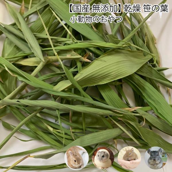 うさぎ 小動物のおやつ 無添加 乾燥 笹の葉 10g ささ 無着色 ドライリーフ 小動物 うさぎ チンチラ デグー Dbp Dbp Pet Sasa10g 大伸物産yahoo ショップ 通販 Yahoo ショッピング