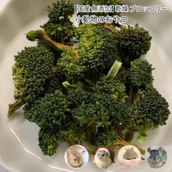 小動物のおやつ 国産 無添加 乾燥 ブロッコリー 60g 乾燥野菜 ブロッコリ ドライベジタブル 天然素材 小動物 うさぎ ハムスター メール便送料無料 Dbp Dbp Vegi Burokori60gf 大伸物産yahoo ショップ 通販 Yahoo ショッピング