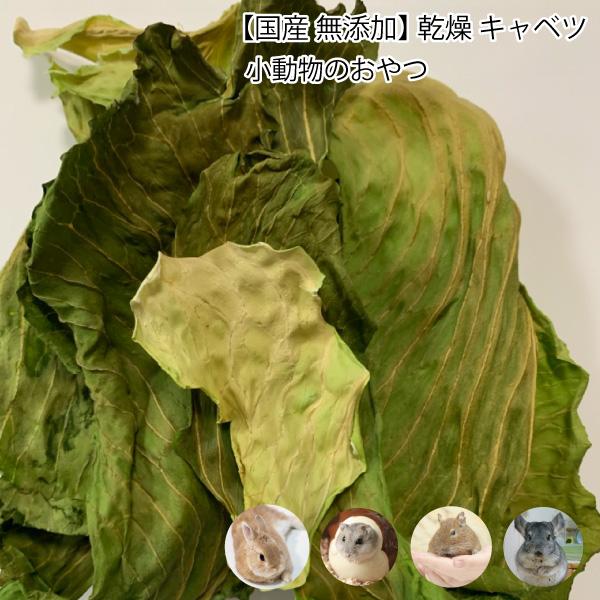 小動物のおやつ 国産 無添加 乾燥 キャベツ 40g 乾燥野菜 小松菜 ドライベジタブル 天然素材 小動物 うさぎ ハムスター デグー チンチラ Dbp Dbp Vegi Kyabetsu40g 大伸物産yahoo ショップ 通販 Yahoo ショッピング