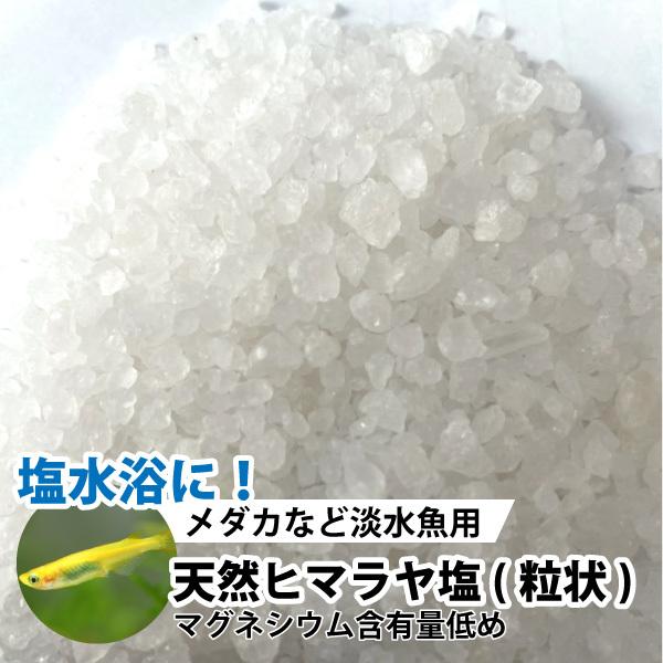 魚 スプーン 熱帯魚 アクアリウム用品の人気商品 通販 価格比較 価格 Com