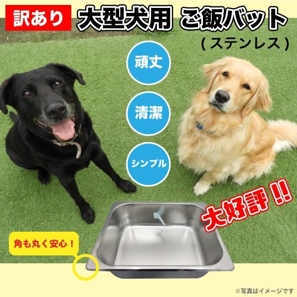 大型犬用 給餌 食器 ギガランキングｊｐ
