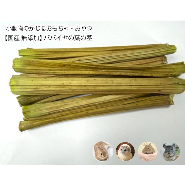 パパイヤ ペットの人気商品 通販 価格比較 価格 Com