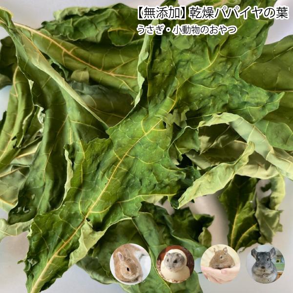 うさぎ・小動物のおやつ 無添加 乾燥パパイヤの葉【約30g】 ぱぱいや 葉っぱ 小動物 うさぎ ハムスター デグー チンチラ【DBP】 :papaiya-leaf30g:大伸物産Yahoo!ショップ - 通販 - Yahoo!ショッピング うさぎ・小動物のおやつ 無添加 乾燥パパイヤの葉【約30g】 ぱぱいや 葉っぱ 小動物 うさぎ ハムスター デグー チンチラ【DBP】 :papaiya-leaf30g:大伸物産Yahoo!ショップ - 通販 - Yahoo!ショッピング