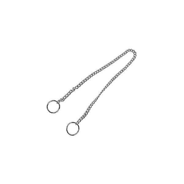 jbT`FC t[`F[N[IS 12N×300mm   [1070-2121151]