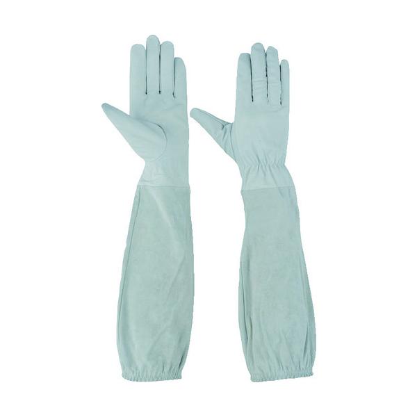 Yf I܂Œ`v M ؖ{v܁iڂ^Cvj 55698 [A060301]