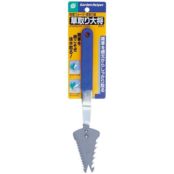 ΍  XeXv 叫 SF-4 [B011306]