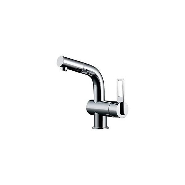 カクダイ シングルレバー引出し混合栓 184-013 (水栓金具) 価格 カクダイ シングルレバー引出し混合栓 184-013 (水栓金具) 価格