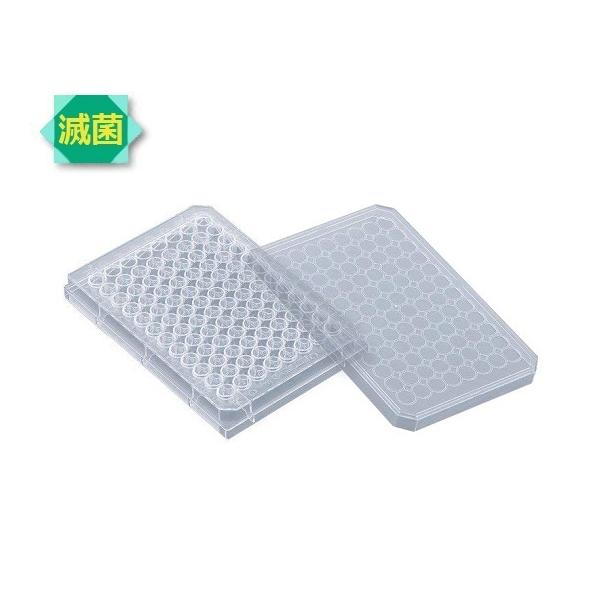 AY AS ONE rI96EFv[gےWtŋ 1-1601-05 [A012022]