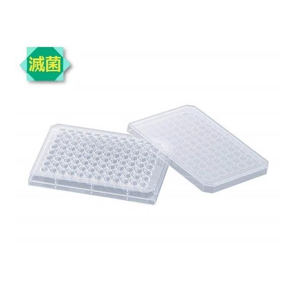 AY AS ONE rI96EFv[gWtŋ 1-1601-06 [A012022]