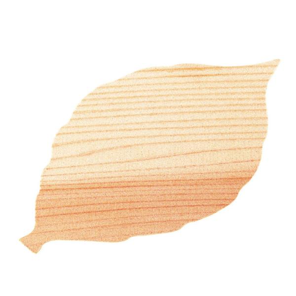 ���}�R�[ Naturalist �E�b�h�y�[�p�[5���Z�b�g ���̂� 79397 [D012201]