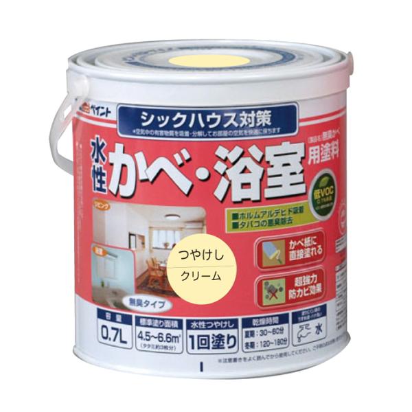 AgnEXyCg h yL ׁEph(L) 0.7L  N[  [A190601]