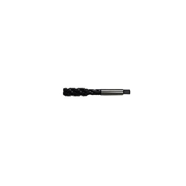 �v���` PROCHI SUS�p�X�p�C�����^�b�v M3X0.5 PRC-SP35S [222-081816]