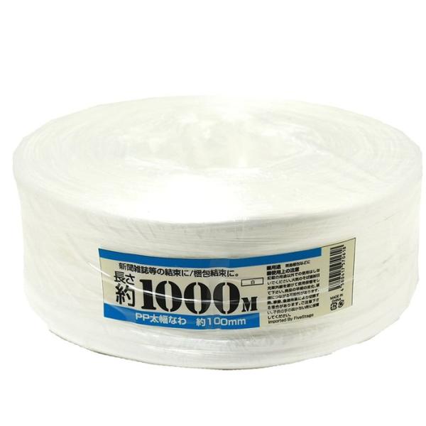 DS DS_Line  PPe[v(Ђ)ב 100mmx1000m No.100X1000M [280-570618]