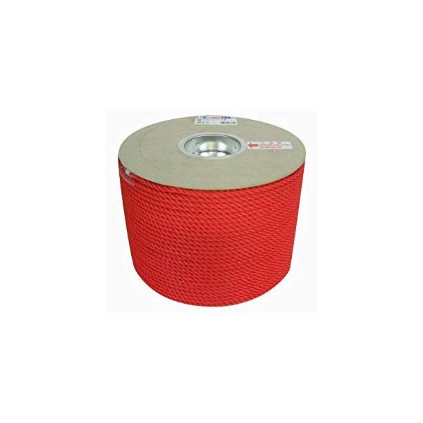 ���^�J���C�N PE�J���[���[�v�h������ 6X200m ���b�h RE-101  [284-033892]