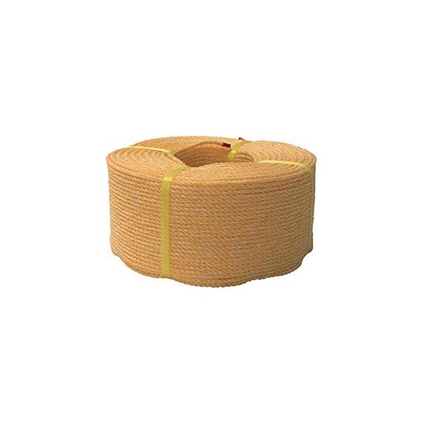 ���^�J���C�N KP���[�v ���� 4X200m K4-200  [284-058420]
