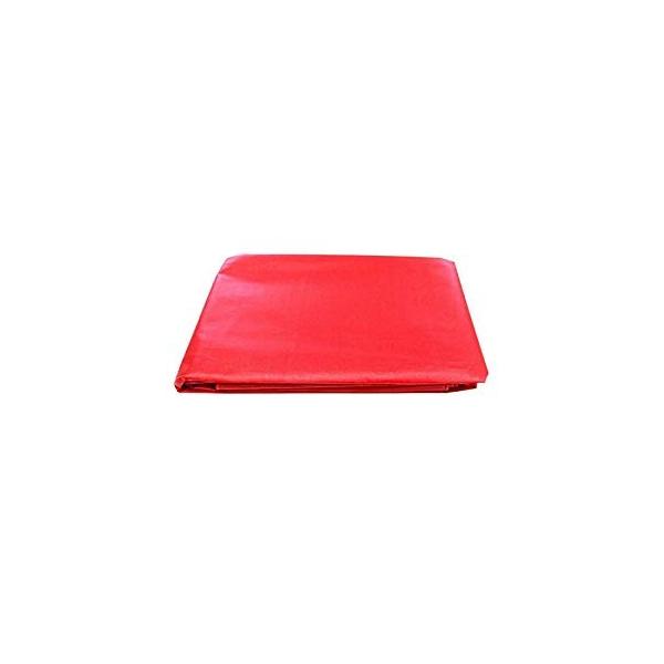 ���^�J���C�N �J���[�g���b�N�V�[�g�i���b�h�j 1.8m×2.1m ���b�h CTS-105  [284-084900]