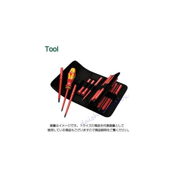 F Wera NtgtH[RpNg VDE60 {dl 343695 [A010125]