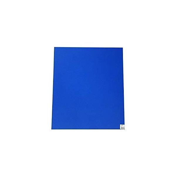 �� PP�� �u���[ P497-5  [553-497051]