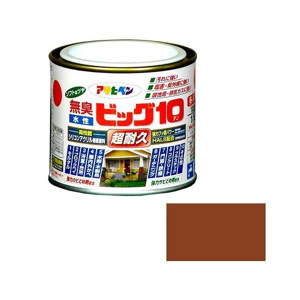 �A�T�q�y�� �����r�b�O10���p�r �R�R�A�u���E��   [665-592774]