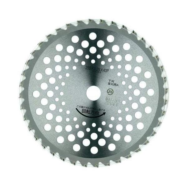 oN}H `bv\[ yʃrEX 255x40P No.34520  [705-073223]