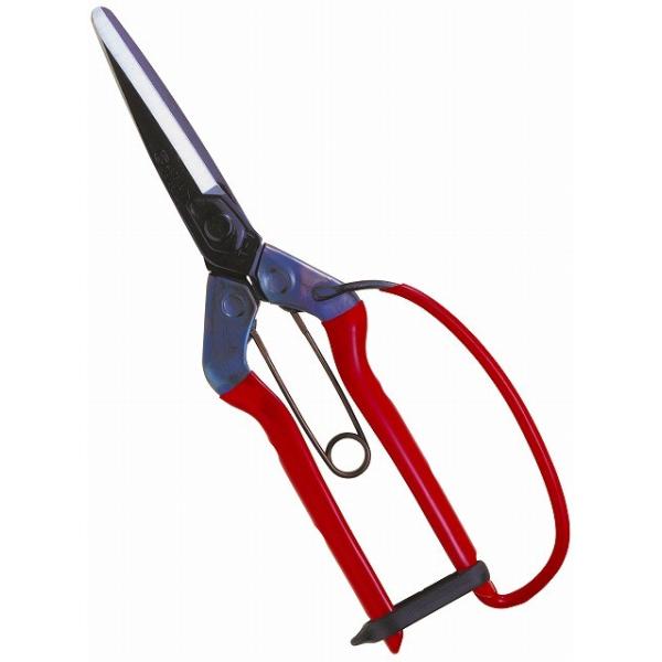 ߐ `J}T  ےnolEK[ht T-700G [708-011708]