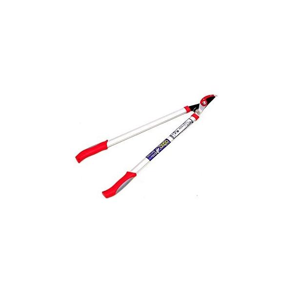 L{V V^A~ GbWt} #2043  [710-620432]