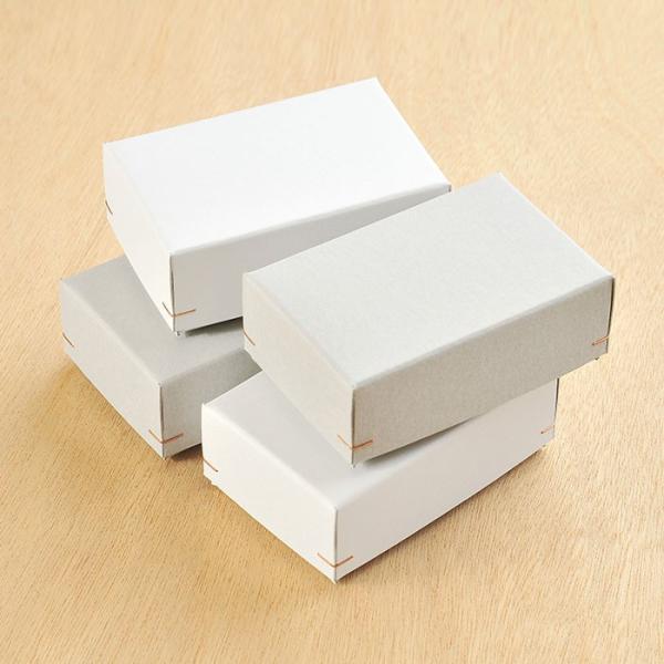 Mtg{bNX pߔ hp 100×65×38mm 1 { B105.106