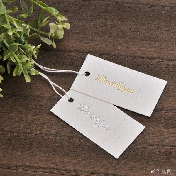 ꔓ IWilD^O ~Vړ D 100 30×60mm ST04