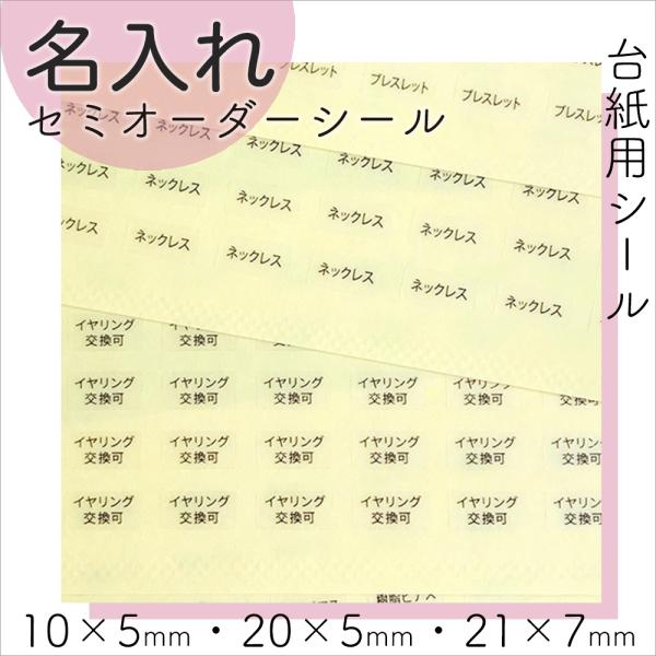  䎆pV[ x 11000 NA SS02