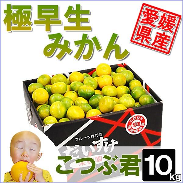 極早生みかんこつぶ君10kg : 愛媛だいすけ果樹園 - 通販