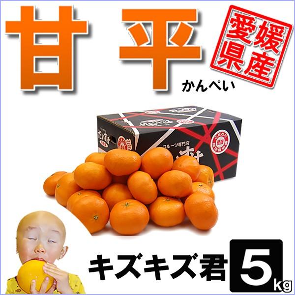 甘平 キズキズ君 5ｋｇ Kanpei 05 愛媛だいすけ果樹園 通販 Yahoo ショッピング