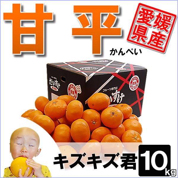 甘平カンペイ10kg箱
