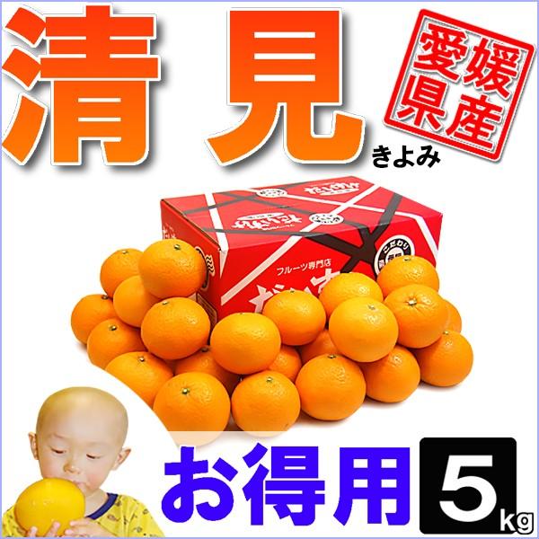 だいくん@  様  発送前 確認用 出品 オーダー&お問い合わせ欄です こー様オーダー確認用 yuchan様オーダー