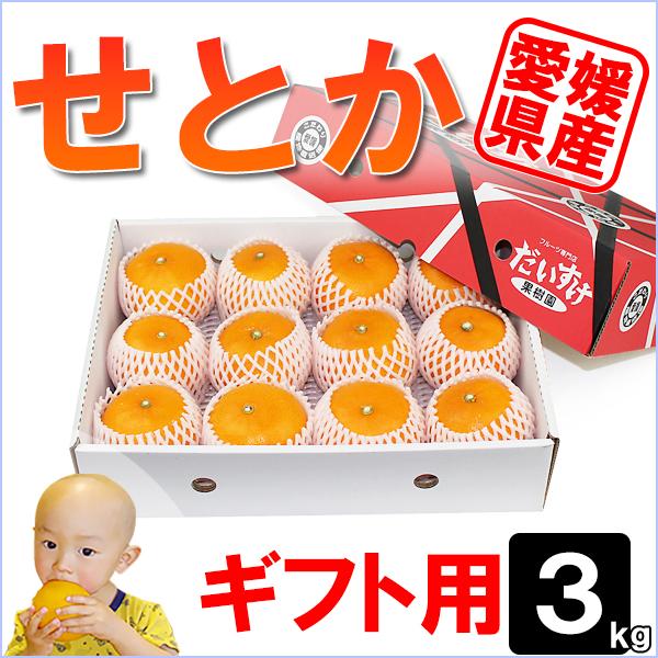 [Release date: February 23, 2026]上品な香りと濃密な甘さに感動します。ひとつひとつ丁寧にキャップをかぶせて美しく手詰めします。贈答用に粒ぞろいの一級品。 贈って喜ばれること間違いなし。「こんなおいしい果物があ...