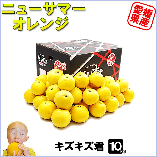 ニューサマーオレンジ キズキズ君 10kg : 愛媛だいすけ果樹園 - 通販