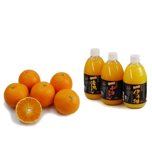 lߍ킹iQ܂ǂ+܂W[X3{j