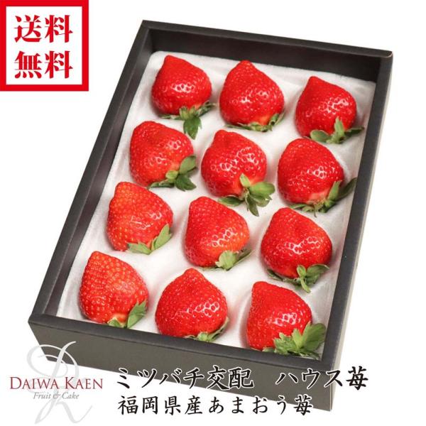 キーワード：送料無料 御歳暮 あまおう 苺 福岡産 ギフト 高級 フルーツ 果物 大粒 高糖度 お歳暮 御礼 御祝 結婚内祝 プレゼント 贈り物・産地：福岡県産・内容量：大粒12〜15粒入り・保存方法：要冷蔵（10℃以下で保管ください）