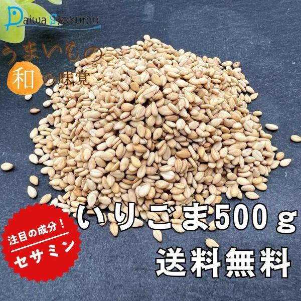 ごま いりごま 白 500g お買い得 ゴマ 胡麻 煎りゴマ 炒りごま 煎り胡麻 いり胡麻 ふりかけ 家庭用 おかず セサミン