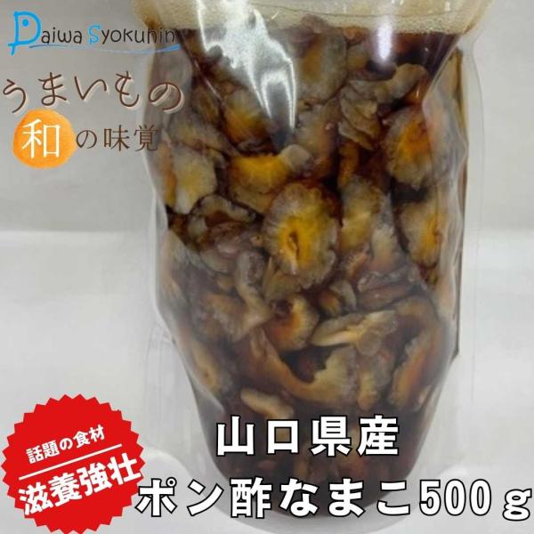 なまこ ポン酢なまこ 500g 山口県産 特選 高級赤なまこ使用 ナマコ ナマコ酢 なまこ ポン酢 青海鼠 酢の物 珍味  滋養強壮 健康志向 送料無料 ポイント消化