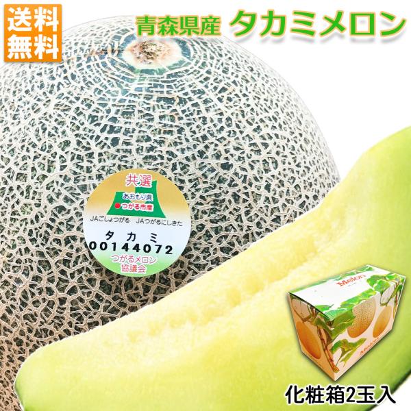 タカミメロン　29日発送予定 メロン 飯岡 貴味メロン 約3kg 4Lサイズ以上 2玉 千葉県産<br