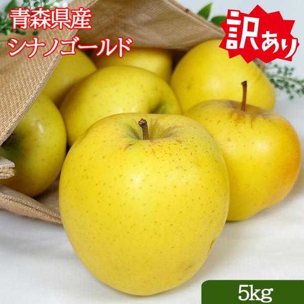 りんご 訳あり 5kg 青森県 シナノゴールド 5kg クール便 送料無料 リンゴ 5kg シナノ ゴールド ご家庭用 糖度保証  当店のりんごは糖度保証 毎日の健康の為に