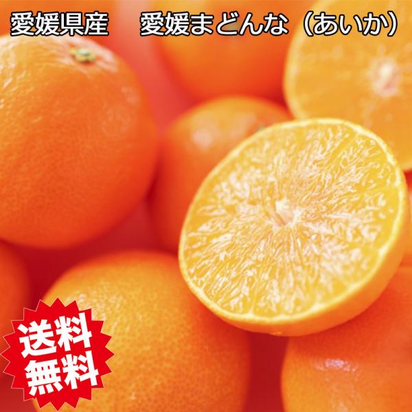 [Release date: November 30, 2025]商品名：紅まどんな 愛果28号産地：愛媛県内容量：2.5Kg（茶箱）賞味期限：商品到着後なるべく早めにお召し上がりください販売者：大和屋旬果庵
