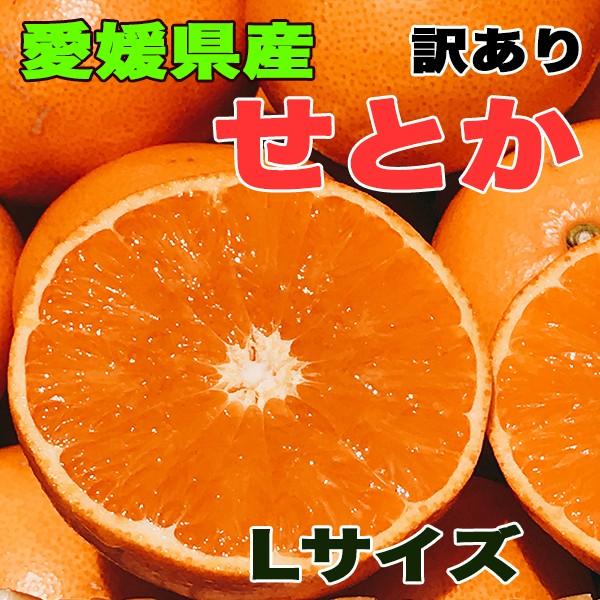 愛媛県産せとか Lサイズ 約5kg 話題の柑橘 北海道 沖縄県離島へは別途送料必要 C030 38w1l5k 大和屋 旬果庵 通販 Yahoo ショッピング